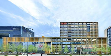 三業(yè)協(xié)同 上海網(wǎng)絡(luò)技術(shù)服務(wù)產(chǎn)業(yè)園的運(yùn)營競爭力打造之道